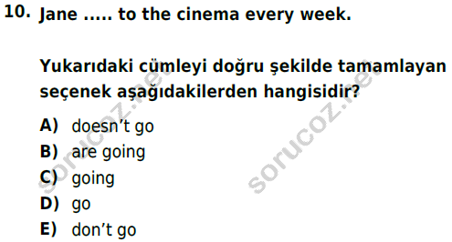 auzef cocukgelisimlisans 57 10