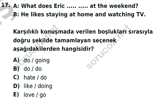 auzef cocukgelisimlisans 57 17