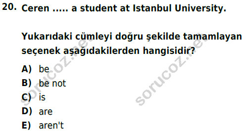 auzef cocukgelisimlisans 57 20