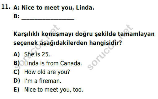 auzef cocukgelisimlisans 57 11