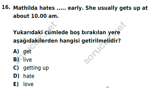 auzef cocukgelisimlisans 57 16