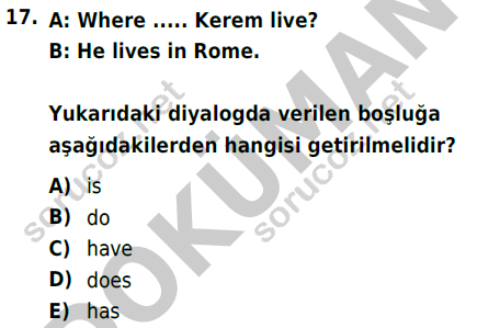 auzef cocukgelisimlisans 57 17