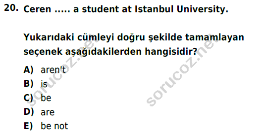 auzef cocukgelisimlisans 57 20