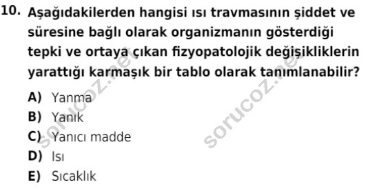 auzef isglisans 355 10