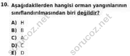 auzef isglisans 355 10