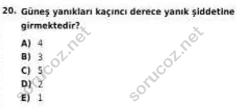 auzef isglisans 355 20