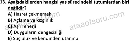 ata acildurumveafet 1260 13