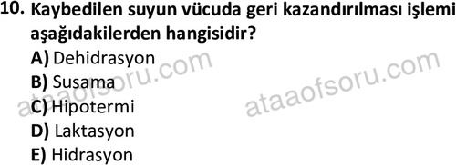 ata acildurumveafet 1261 10