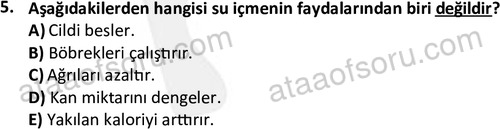 ata acildurumveafet 1261 5