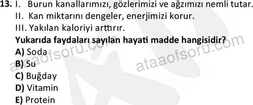 ata acildurumveafet 1261 13