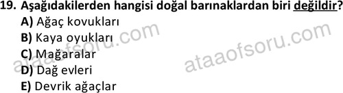 ata acildurumveafet 1261 19