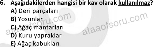 ata acildurumveafet 1261 6