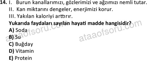 ata acildurumveafet 1261 14
