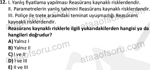 ata bankacilik 1323 12
