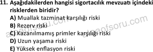 ata bankacilik 1323 11