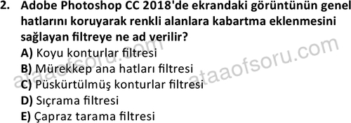 ata bilgisayarprog 1336 2