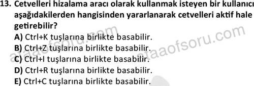 ata bilgisayarprog 1336 13