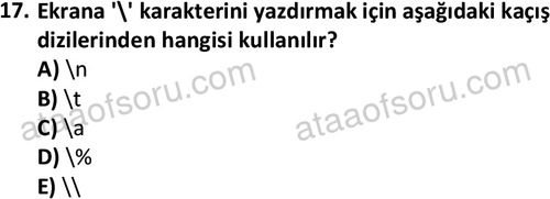 ata bilgisayarprog 1334 17