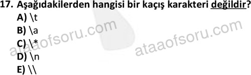 ata bilgisayarprog 1334 17