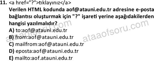 ata bilgisayarprog 1335 11