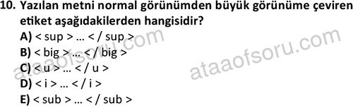 ata bilgisayarprog 1335 10