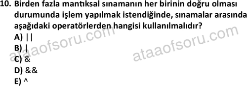 ata bilgisayarprog 1349 10