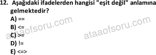 ata bilgisayarprog 1349 12