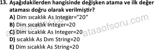 ata bilgisayarprog 1349 13
