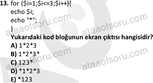 ata bilgisayarprog 1348 13