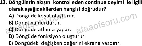 ata bilgisayarprog 1348 12
