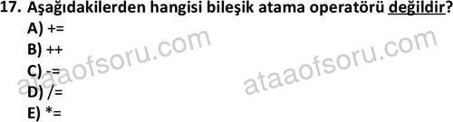 ata bilgisayarprog 1348 17