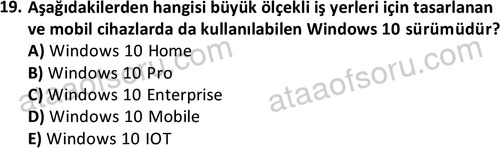 ata bilgiyonetimi 1360 19