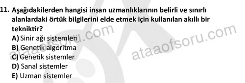 ata bilgiyonetimi 1373 11