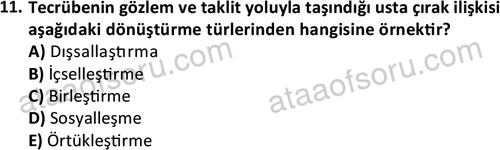 ata bilgiyonetimi 1373 11