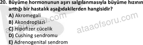 ata cocukgelisimlisans 1443 20