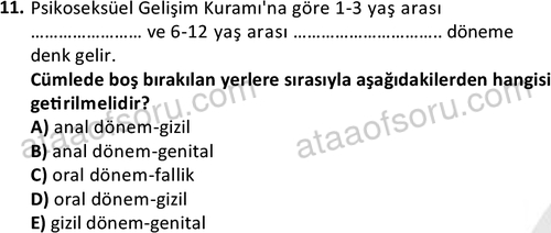 ata cocukgelisimlisans 1443 11