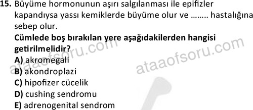 ata cocukgelisimlisans 1443 15