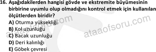 ata cocukgelisimlisans 1443 16