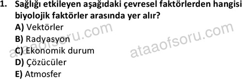 ata cocukgelisimlisans 1443 1