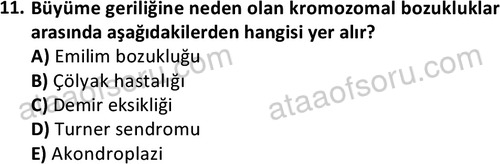 ata cocukgelisimlisans 1443 11