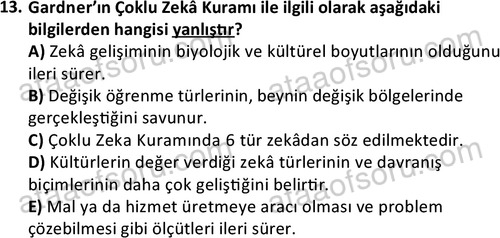 ata cocukgelisimlisans 1443 13