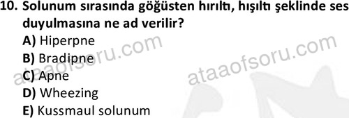 ata cocukgelisimlisans 1444 10