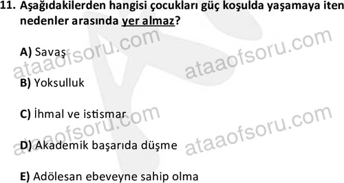 ata cocukgelisimlisans 1444 11