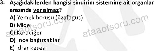 ata cocukgelisimlisans 1444 3