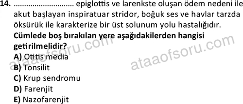 ata cocukgelisimlisans 1444 14