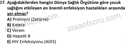 ata cocukgelisimlisans 1444 17