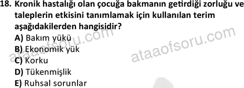 ata cocukgelisimlisans 1444 18