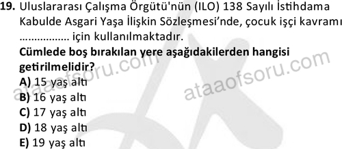 ata cocukgelisimlisans 1444 19