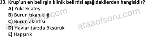 ata cocukgelisimlisans 1444 13
