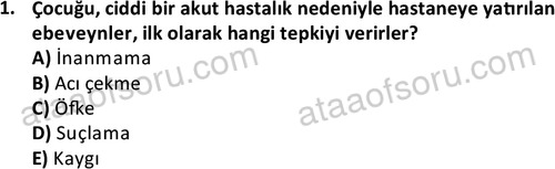 ata cocukgelisimlisans 1444 1